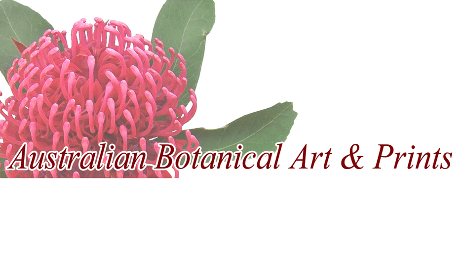 Australian Botanical Art