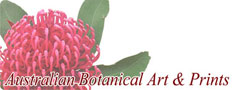 Australian Botanical Art and Prints