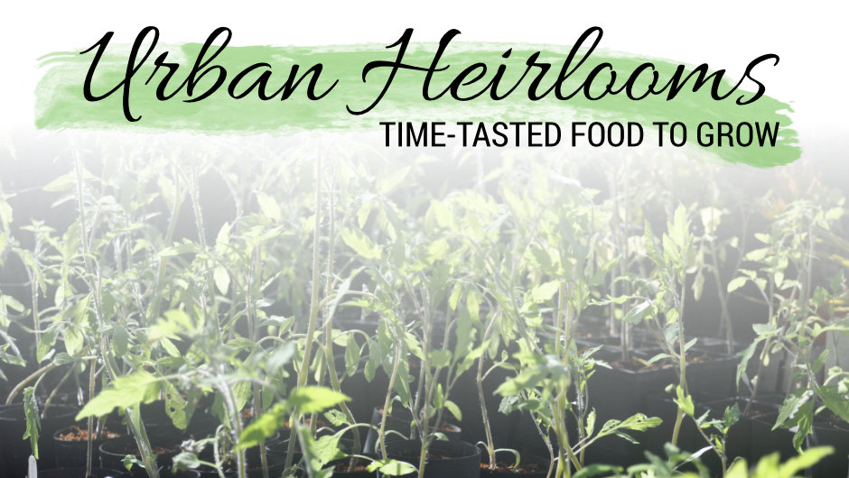 Urban Heirlooms: Time-Tasted Food You Can Grow
